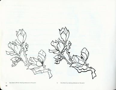 img018.jpg